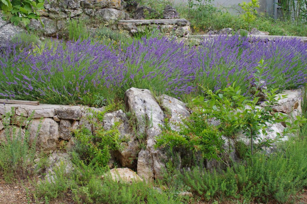 Апартаменты Milica Garden Првич Шепурине Экстерьер фото