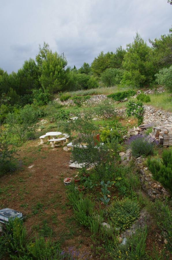 Апартаменты Milica Garden Првич Шепурине Экстерьер фото